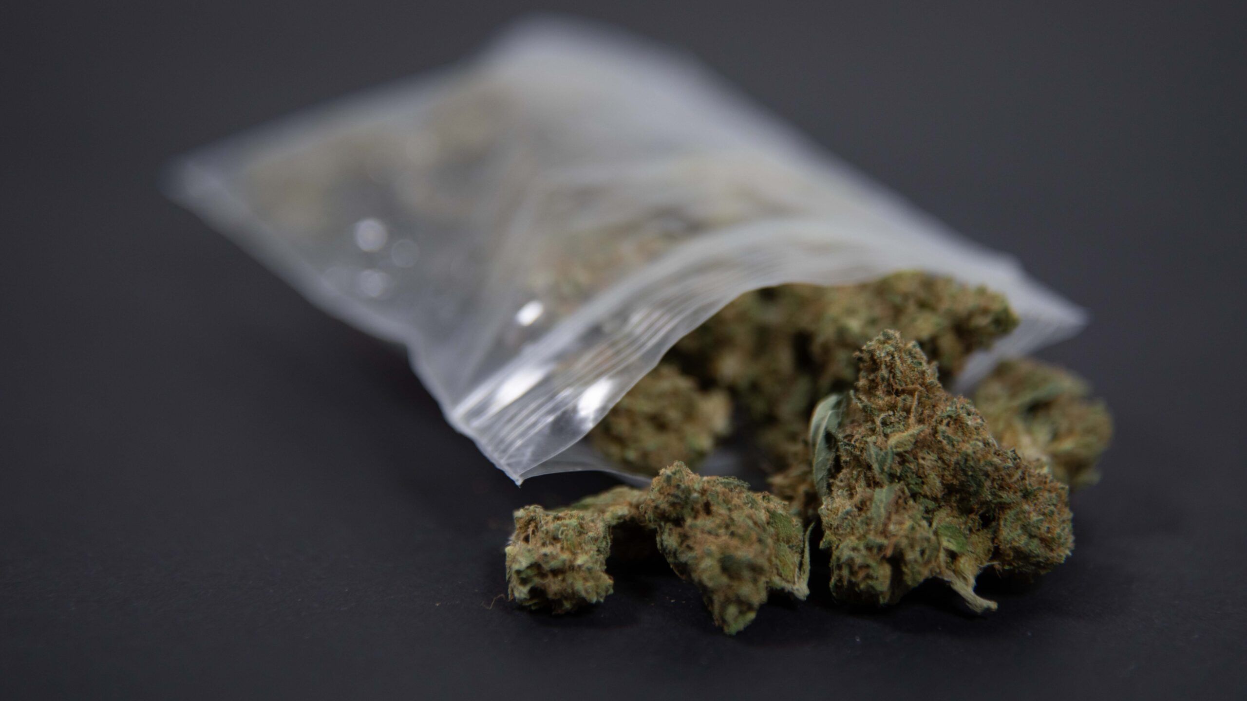 Cannabis in the Workplace: Policies, Protections, and Challenges in 2025